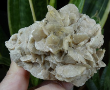 Gypse rose des - rose, sable