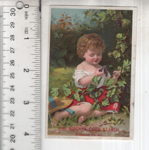 Niagara corn starch child - starch,