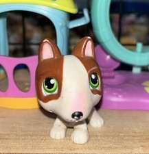 figurine original chien bull terrier #154   pet shop LPS