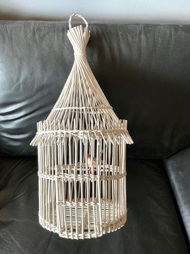 Cage oiseaux osier blanc - en,