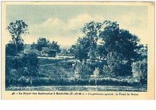 82.REALVILLE.n°9952.LE FOYER DES INDIRECTES.L'EXPLOITATION AGRICOLE.LA FERME