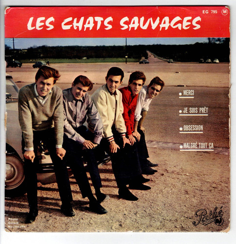 Les chats sauvages merci - ,