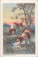 CP ILLUSTREE CHIENS COURANTS FRANCAIS - CHASSE - 35154