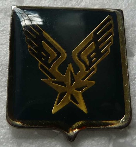 Pin militaire du - pin's,