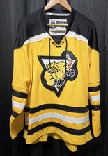 Campea Minor Semi Pro Hockey