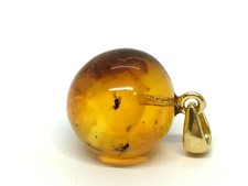 Pendentif Ambre 2 INSECTES