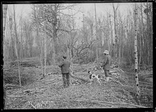 Plaque verre photo ancienne