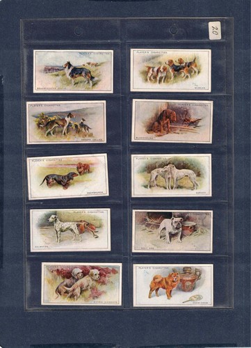 1924 john player sons - &, dogs