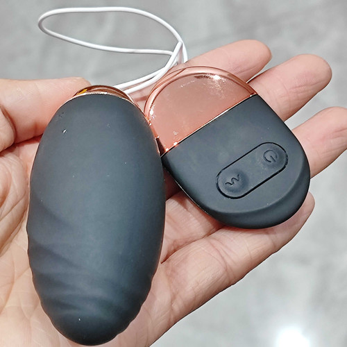 Vibrateur portable ballet egg - vibrateur,