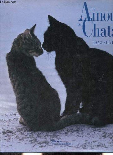 Amour chats silvester - amour,