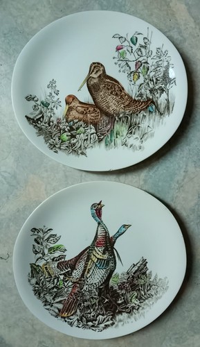 Assiettes ovales johnson - 2,