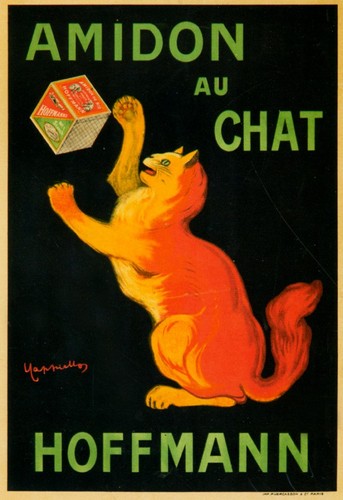 Poster publicitaire amidon - poster,