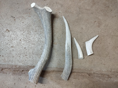 Lot bois mue cerf - lot,