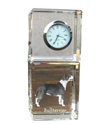 Bull terrier bullterrier - terrier,bullterrier,