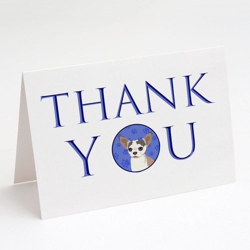 Chihuahua merle thank you - merle,
