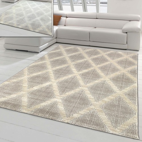 Tapis simple pour salon - tapis,
