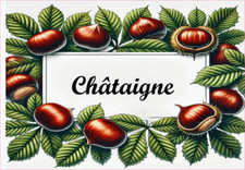 Châtaigne 12 Etiquettes