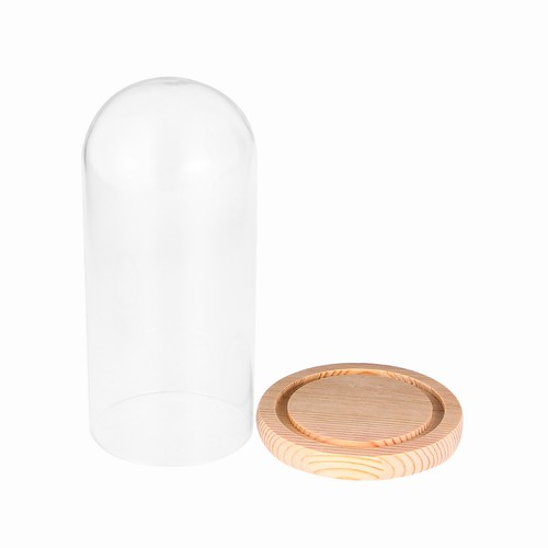Glass dome cloche for - dome, home