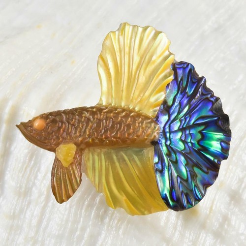 Poisson combattant siamois - poisson,