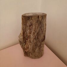 Tronc de bois petrifié 16kg