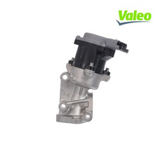 EGR Valve VALEO 700411