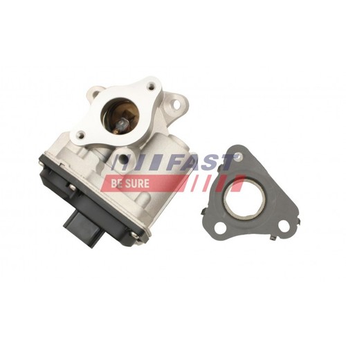Egr valves for renault - for,