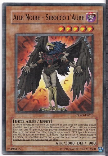 Aile noire sirocco - noire,
