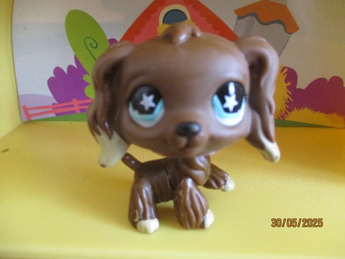 Petshop chien epagneul 960 - petshop,