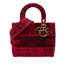 Dior Medium brodé Velours