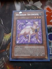 Bête Cristalline Chat