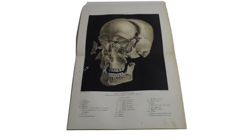 1850 lithographie couleur - 1850.lithographie,