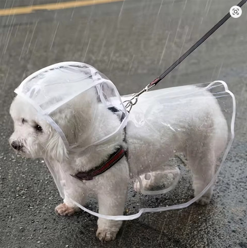 Imperméable transparent pour