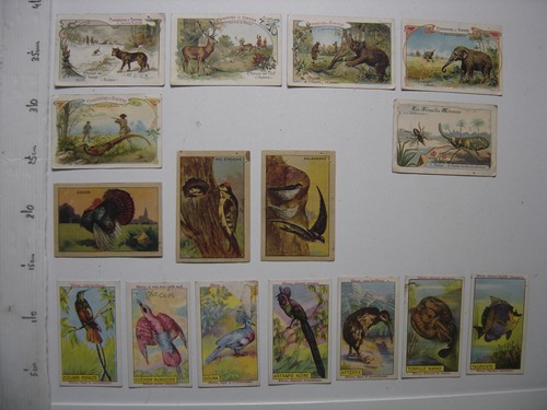 Lot chromos anciennes - 16,