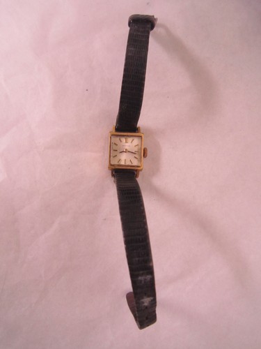 Montre certina plaque - plaque, or