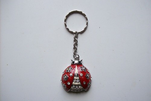 Porte clé coccinelle - porte,