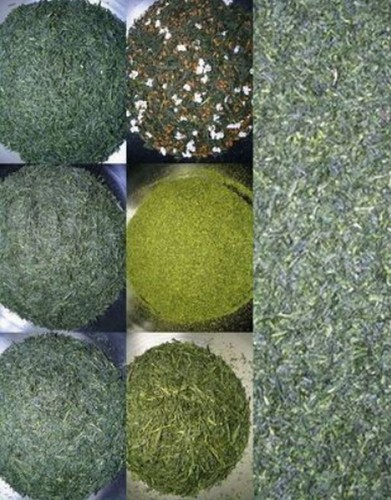 Essayez thé vert japonais - vert,