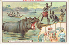 CARTE PUBLICITAIRE CHOCOLAT