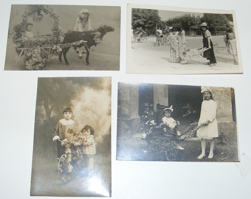 2769 lot cpa photos - cpa,
