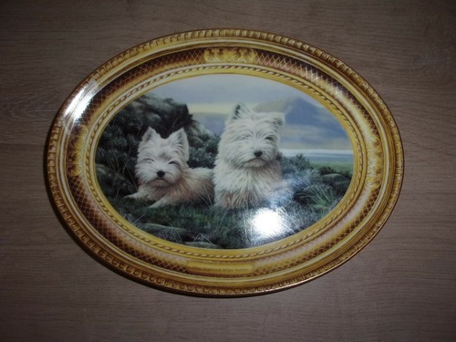 Assiette porcelaine anglaise - porcelaine,