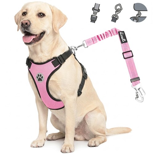 Dog seat belt harness - belt,