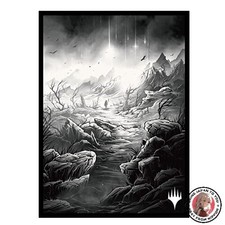 NOUVELLE pochette de carte