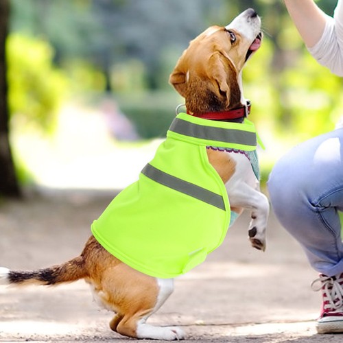 Gilet pour chien de - ,