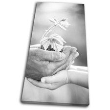 Grandfather Gardening Eco