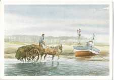 BASSIN D'ARCACHON - le ramassage du goemont - aquarelle de Jean Michel Seiller