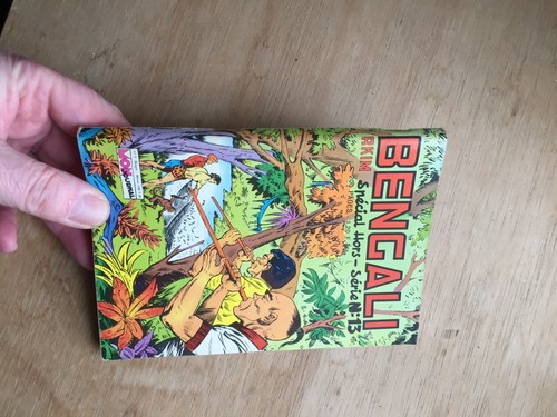 Petit format bengali - petit, 13