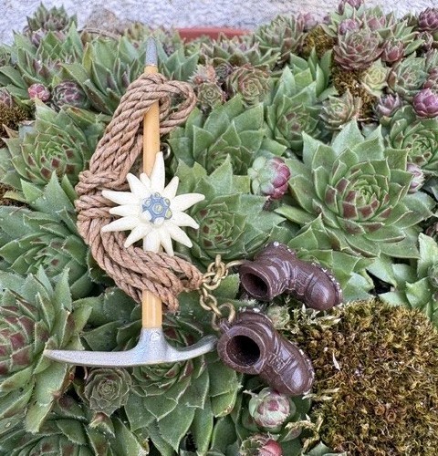 Bijou ancien broche - , edelweiss