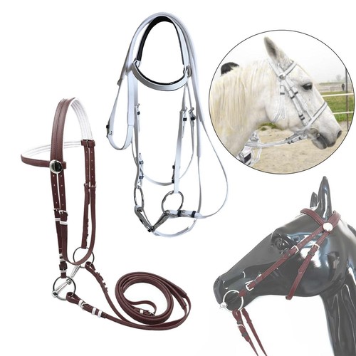 Bride pour cheval - , licol
