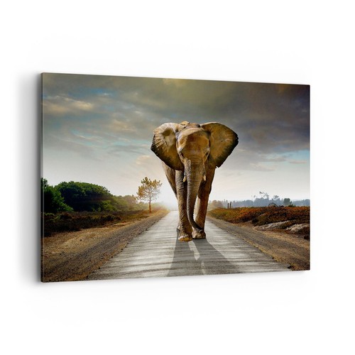 Impression sur toile - sur, 100x70cm