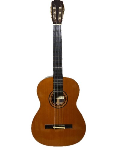 Guitare classique takamine - classique,