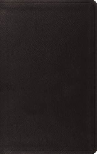 Esv value - esv,